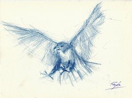 Eagle