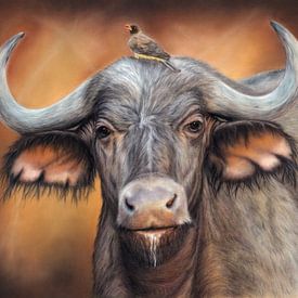 Buffel in gezelschap van Michelle Coppiens