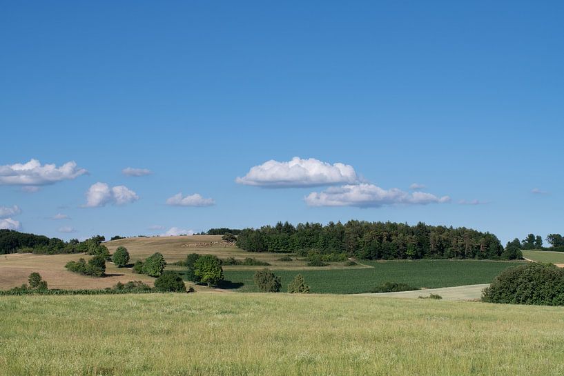 Landschaft in Bayern von Ulrike Leone