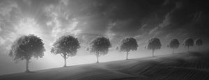 Schattenwelt der Natur