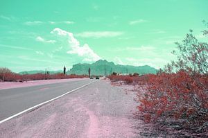 Arizona dream