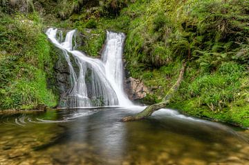 Allerheiligen Waterfall in the Black Forest by Michael Valjak