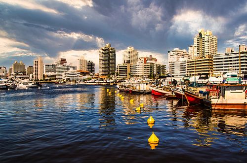 Haven met jachten en vissersboten in Punte del Este Uruguay