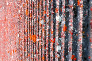 rote Wand