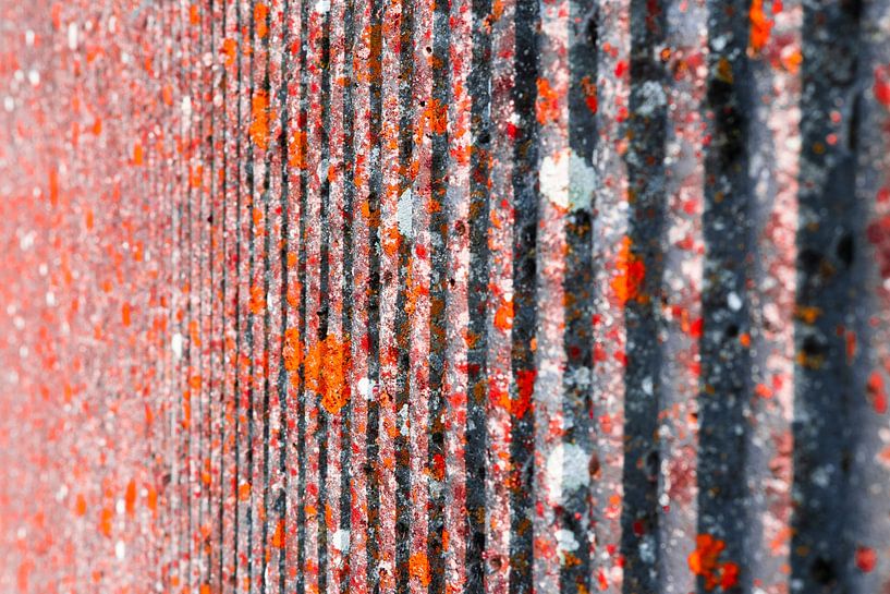 rote Wand von Karin van Bylevelt