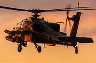 Apache helicopter during sunset von Jimmy van Drunen Miniaturansicht