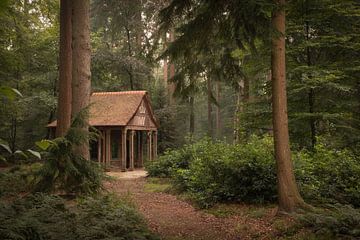 Die Hütte im Märchenwald von Moetwil en van Dijk - Fotografie