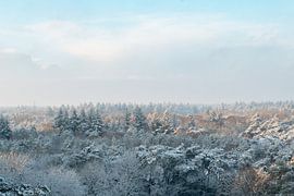 Winterwald von Myrthe Vlasveld