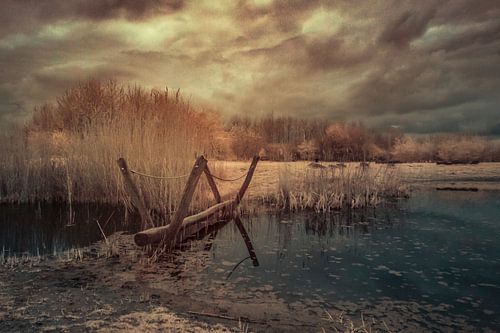 Tree bridge on assault course in Barendrecht.
