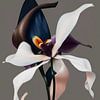 Kunstzinnige orchidee van Carla Van Iersel