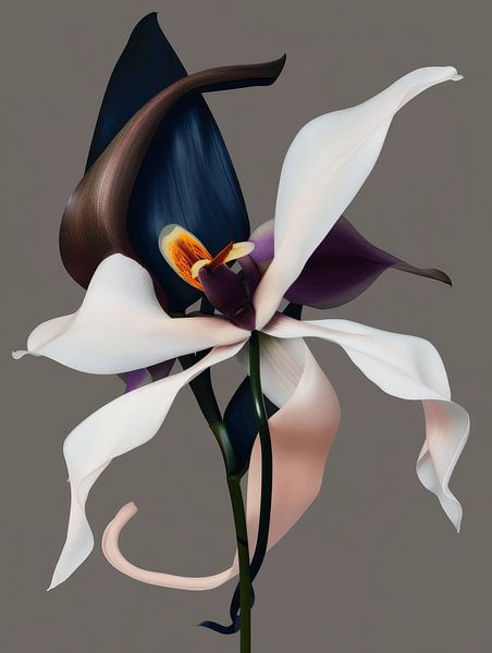 Artful orchid by Carla Van Iersel