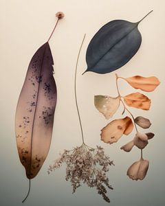 Flatlay von gepressten Blumen kombiniert mit Aquarellfarbe