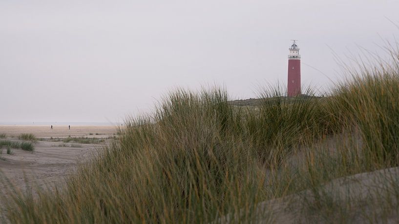 Am Strand in der Nähe des Leuchtturms von Texel von Anges van der Logt