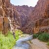 Wadi Mujib in Jordanië van Jessica Lokker