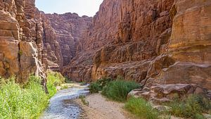 Wadi Mujib in Jordanië