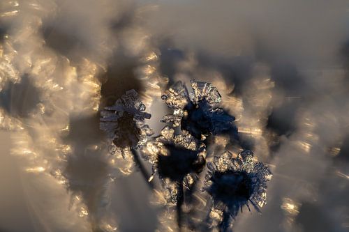 IJskristallen schitteren in het zonlicht