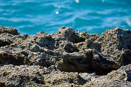 Krabben auf den Felsen