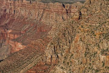 Grand Canyon Verenigde Staten van Richard van der Woude