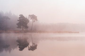 Stille mistige ochtend in Deurne van elma maaskant