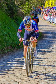 Remco Evenepoel auf dem Koppenberg