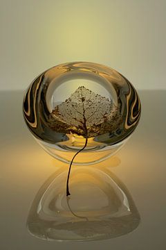 Modern Stilleven  Glas 1 Basic Design. Impressionisme van Alie Ekkelenkamp