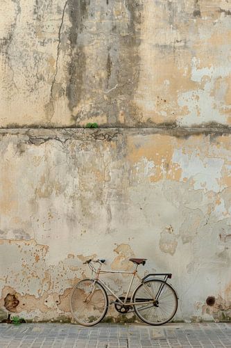 Fiets