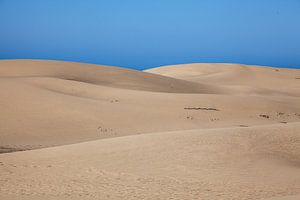 Die Dünen von Maspalomas (Gran Canaria)