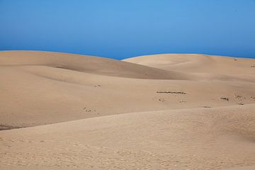 Die Dünen von Maspalomas (Gran Canaria) von t.ART