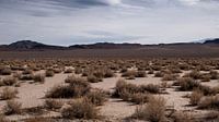 Kalifornische Wüste von Jasper Verolme Miniaturansicht
