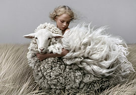 Woolly