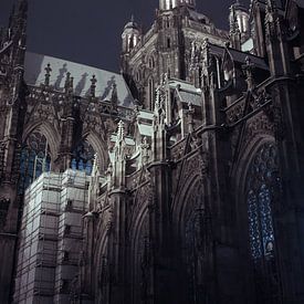 Sint Jan 's-Hertogenbosch van Sonja Onstenk