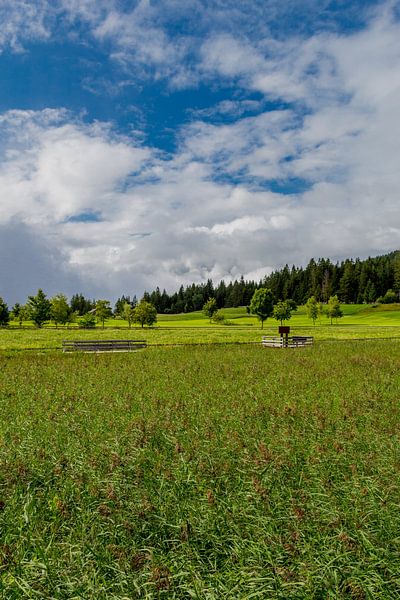 Wandeling rond de Wildsee van Oliver Hlavaty
