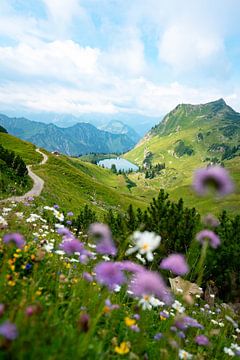 Blumige Aussicht auf den Seealpsee in den Allgäuer Alpen von Leo Schindzielorz