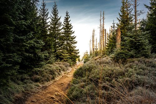 The way to the Achtermann