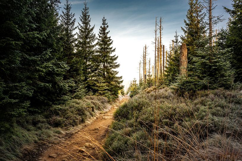 The way to the Achtermann by Steffen Henze