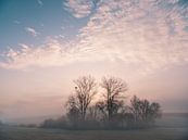 November morning 4 by Max Schiefele thumbnail