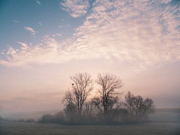 Novembermorgen 4 von Max Schiefele