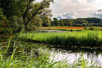 Meanderend water door Recreatiegebied de Merwelanden. van René von Hout