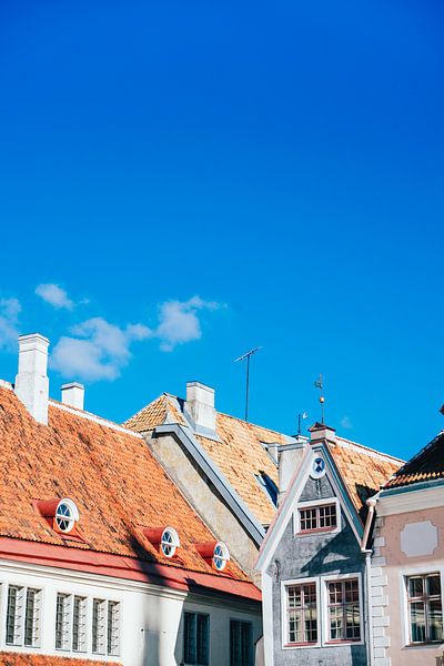 Roofs in Tallinn by Patrycja Polechonska