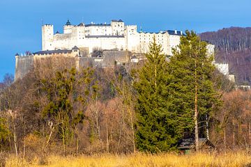 De vesting Hohensalzburg in herfstkleed van Christa Kramer