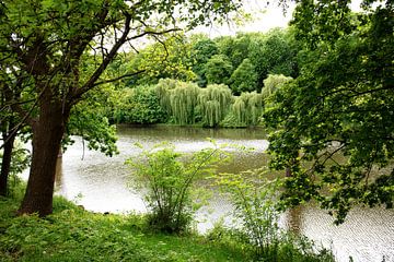 Uitzicht op de Hase en de rivieroever van Bianca Meyering Fotos - BMF