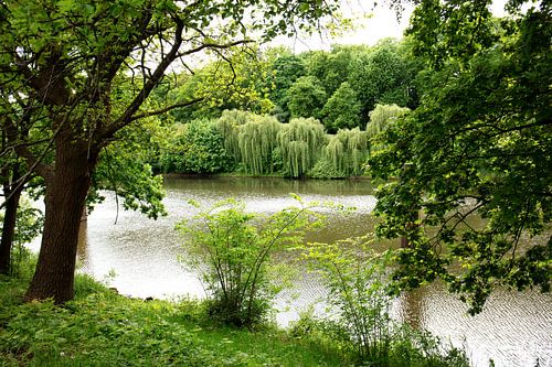 Uitzicht op de Hase en de rivieroever
