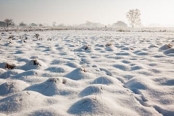 Sneeuwlandschap op de Strabrechtse Heide van H Verdurmen