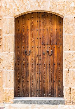 Porte d'entrée en bois brun avec arc en grès, vue de face sur Alex Winter