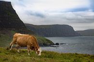 Uig Highland par Ab Wubben Aperçu