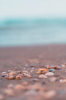 Schelpjes in Scheveningen
