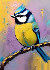 Mésange bleue