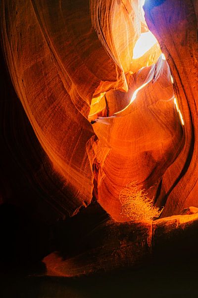Antelope Canyon by Dieter Walther