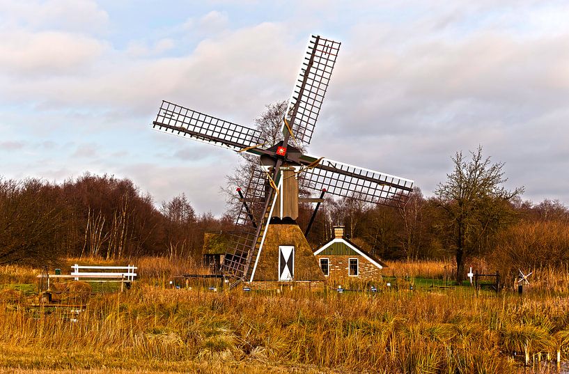 A Windmill in Holland von Brian Morgan