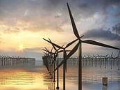 Duizend windmolens op zee - avondzon van Frans Blok thumbnail